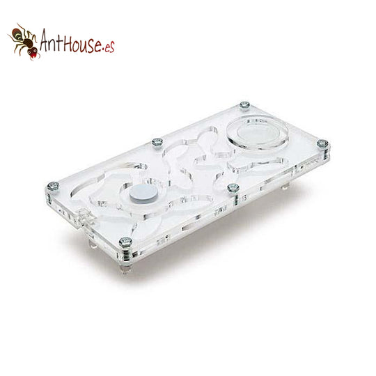 AntHouse Acri Medium (Mushroom)