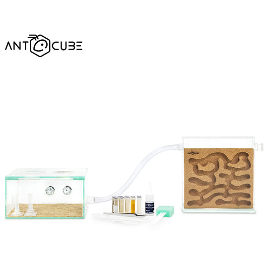 ANTCUBE Starter Set – 20×20 – Cork
