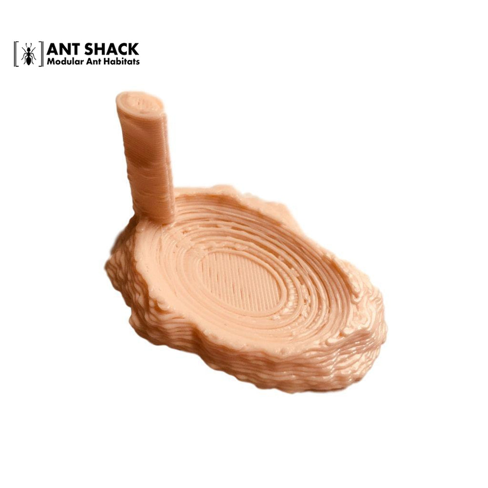 Ant Shack Feeder Dish
