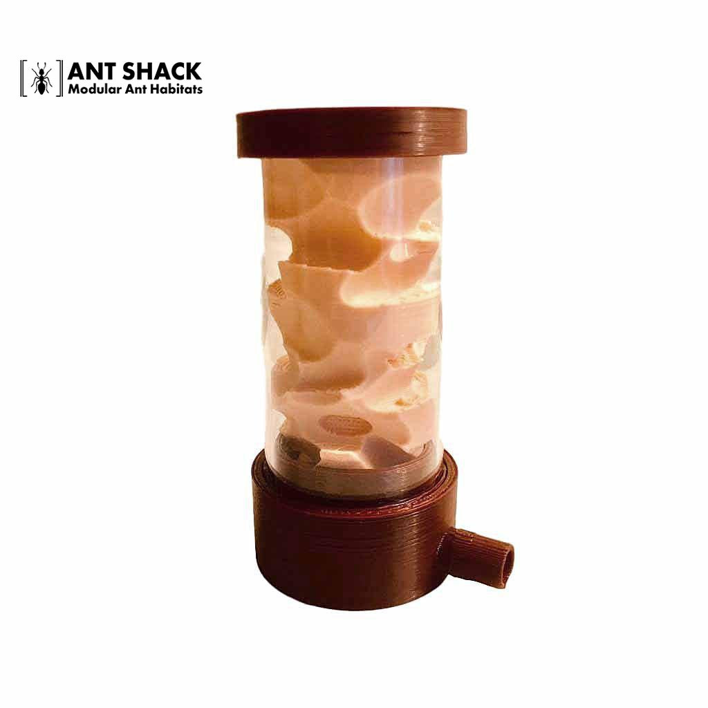 Ant Shack Ant Nest Athens