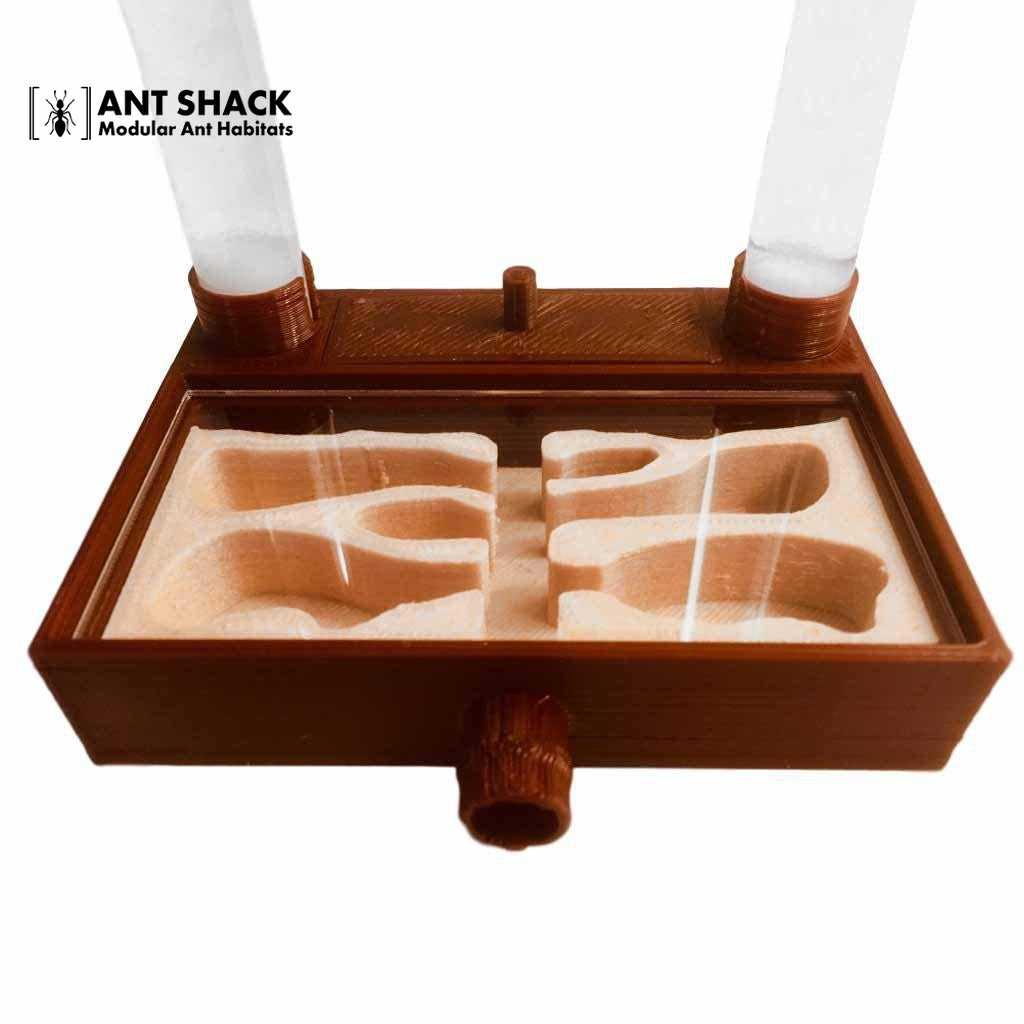 Ant Shack Hydro Ant Nest