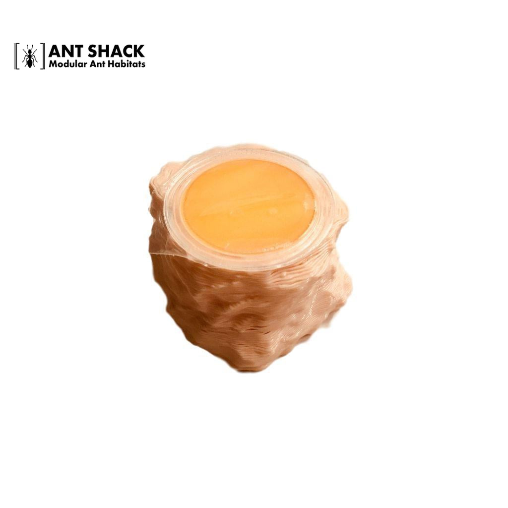 Ant Shack Protein Jelly Holder
