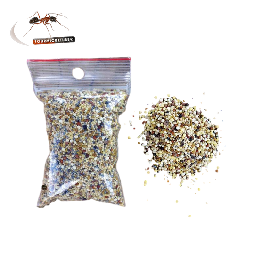 Formiculture Seed Mix Fine 50g