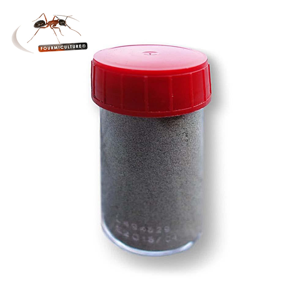 Formiculture Procarb Honeydew Protein Powder 25g