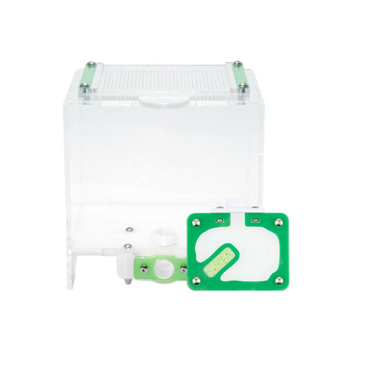 Aus Ants Beginner Kit