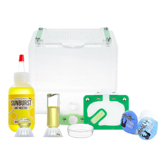 Aus Ants Beginner Kit +