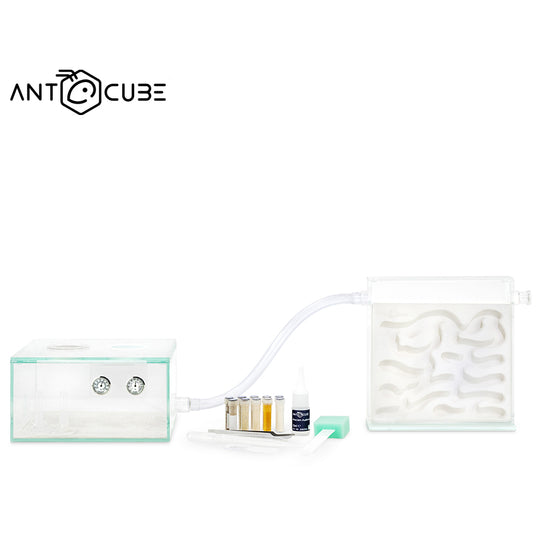 ANTCUBE Starter Set – 20×20 – Plaster