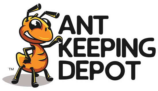 Ant Keeping Depot