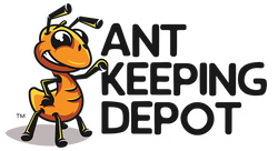 Ant Keeping Depot